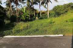 hanbrighton-jual-tanah-418m2-view-sungai-bypass-ida-bagus-mantra-saba-gianyar-4