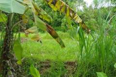 hanbrighton-investasi-cerdas-tanah-strategis-desa-sangsit-sawan-buleleng-seluas-26229m2-1