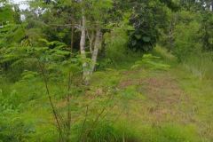 hanbrighton-investasi-cerdas-tanah-strategis-desa-sangsit-sawan-buleleng-seluas-26229m2-3