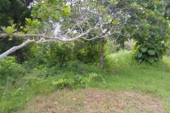 hanbrighton-investasi-cerdas-tanah-strategis-desa-sangsit-sawan-buleleng-seluas-26229m2-4