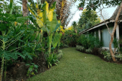 hanbrighton-sewa-min-3-th-villa-4-kt-taman-pool-sanur-densel-1