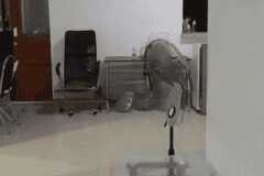 hanbrighton-sewa-rumah-hadap-utara-2-lt-7-kt-bypass-sanur-densel-1