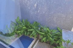 hanbrighton-sewa-villa-baru-hadap-utara-2-kt-pool-sanur-densel-tipe-7080-3