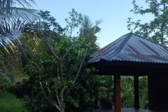 hanbrighton-jual-tanah-kebun-60-are-sekumpul-sawan-buleleng-3