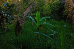 hanbrighton-jual-tanah-kebun-60-are-sekumpul-sawan-buleleng-4