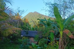 hanbrighton-jual-tanah-kebun-60-are-sekumpul-sawan-buleleng-5