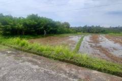 hanbrighton-jual-tanah-lahan-pemukiman-106-hektar-view-sawah-gunung-dekat-tol-lingkar-soka-mengwi-selemadeg-tabanan-6