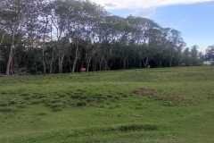 hanbrighton-jual-tanah-premium-15203m2-pinggir-pantai-antap-selemadeg-tabanan-1