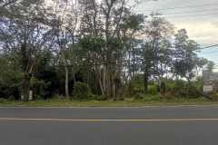 hanbrighton-jual-tanah-premium-15203m2-pinggir-pantai-antap-selemadeg-tabanan-4