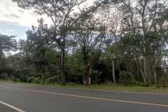 hanbrighton-jual-tanah-premium-15203m2-pinggir-pantai-antap-selemadeg-tabanan-5