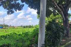 hanbrighton-jual-tanah-2540m2-sempidi-badung-1