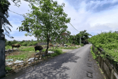 hanbrighton-jual-tanah-30-are-sempidi-tabanan-2