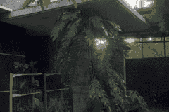 hanbrighton-jual-rumah-villa-nuansa-bali-2-lantai-41-kamar-sesetan-denpasar-selatan-2