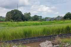 hanbrighton-sewa-tanah-premium-21-are-pantai-nyanyi-tanah-lot-tabanan-1