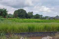 hanbrighton-sewa-tanah-premium-21-are-pantai-nyanyi-tanah-lot-tabanan-2