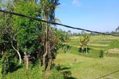 hanbrighton-jual-6-unit-villa-kayu-bresela-payangan-gianyar-9