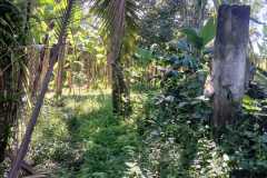 hanbrighton-jual-tanah-35-are-bresela-ubud-gianyar-1