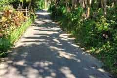 hanbrighton-jual-tanah-35-are-bresela-ubud-gianyar-2