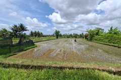 hanbrighton-jual-tanah-52-are-pejeng-kaja-ubud-view-gunung-sawah-1