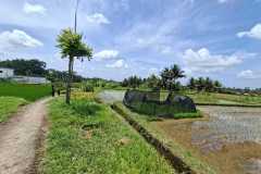 hanbrighton-jual-tanah-52-are-pejeng-kaja-ubud-view-gunung-sawah-2