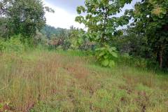 hanbrighton-jual-tanah-murah-55-are-harga-nego-seririt-buleleng-2