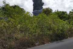 jual-cepat-tanah-hadap-utara-500m2-ungasan-kuta-selatan-dekat-gwk-1