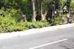 jual-tanah-500m2-pantai-melasti-ungasan-kuta-selatan-badung-2