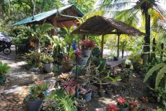 hanbrighton-jual-tanah-26-are-unggahan-seririt-buleleng-2