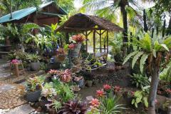 hanbrighton-jual-tanah-26-are-unggahan-seririt-buleleng-3
