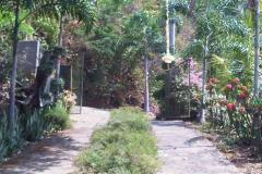 hanbrighton-jual-tanah-26-are-unggahan-seririt-buleleng-4