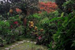 hanbrighton-jual-tanah-26-are-unggahan-seririt-buleleng-6