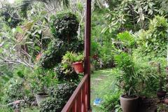 hanbrighton-jual-tanah-26-are-unggahan-seririt-buleleng-8