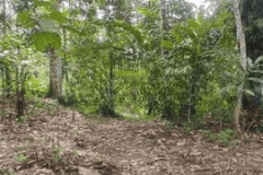 hanbrighton-jual-tanah-hadap-timur-9410m2-desa-wongaya-gede-penebel-tabanan-4