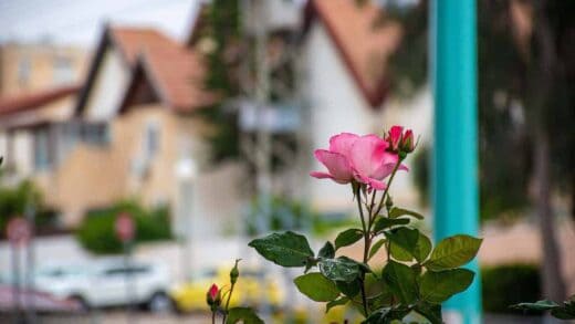 Tips Investasi Properti : Terus Belajar Perluas Pengetahuan