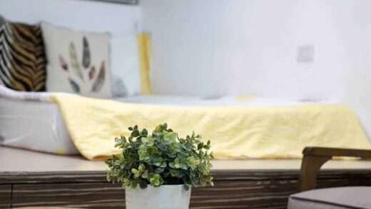 Tips Hidup Ramah Lingkungan Yang Bisa Diterapkan Di Rumah