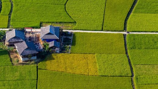 Ini Dia Rumah / Villa Selebriti Di Bali Dengan View Sawah