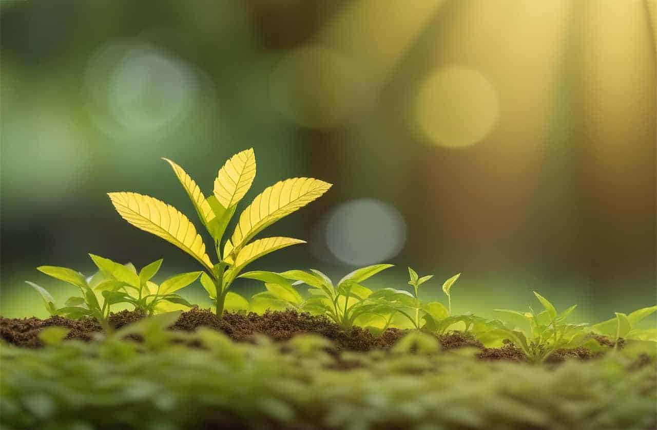GROW (Tentang Bertumbuh, Dalam Diri dan Dalam Bisnis) GROW (Tentang Bertumbuh, Dalam Diri dan Dalam Bisnis)