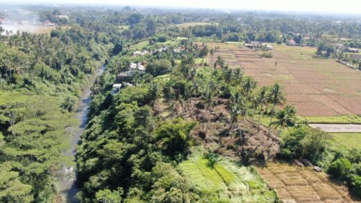 Jual Tanah Premium 5220m2 Lodtunduh Ubud Gianyar Bali