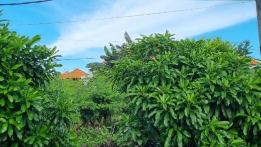 Sewa Min 20 Tahun Tanah 1680m2 Tukad Badung Renon Denpasar Selatan