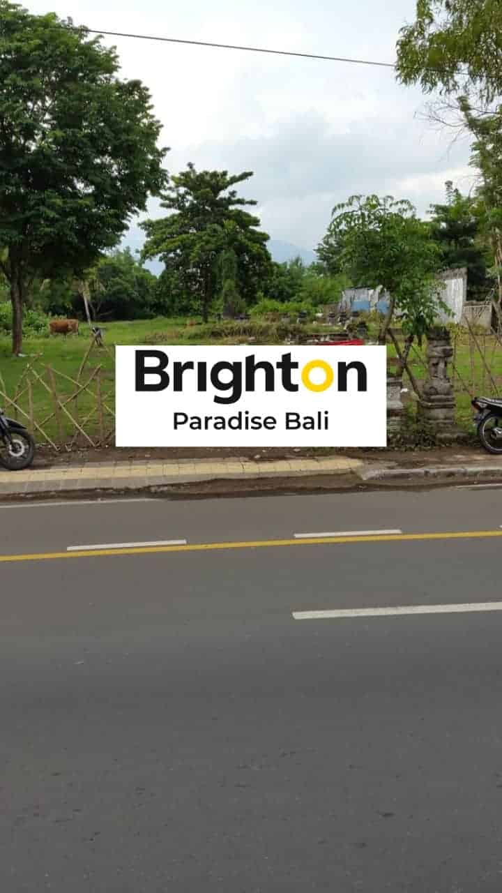 Investasi Tanah 2250m2 Dekat Kantor Bupati Negara Jembrana Jual Tanah 2250m2 Dekat Kantor Bupati Negara Jembrana