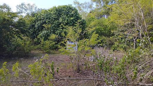 Sewa Min 10 Tahun Tanah 4 Are di Ungasan: Pilihan Terbaik untuk Investasi Anda