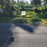 Disewakan Min 5 Tahun Tanah 6 Are Hadap Barat Rangdu Seririt Buleleng Bali