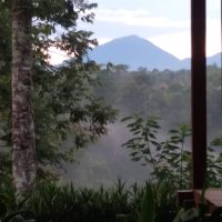 Jual Tanah 138 Are Buahan Payangan Gianyar