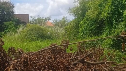 Jual Tanah 15 Are Jalan Gunung Catur Padangsambian Denpasar Barat