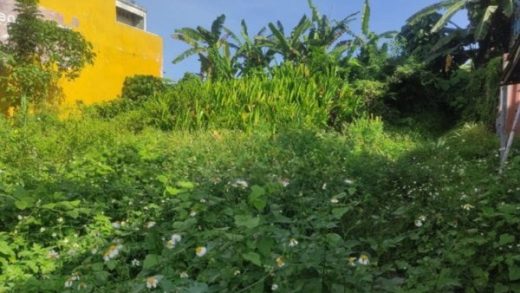 Jual Tanah Hadap Utara 355m2 Bypass Soekarno Banjaranyar Tabanan