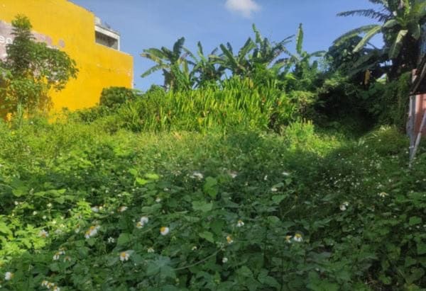 Jual Tanah Hadap Utara 355m2 Bypass Soekarno Banjaranyar Tabanan Jual Tanah Hadap Utara 355m2 Bypass Soekarno Banjaranyar Tabanan