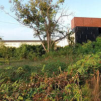 Jual Tanah 18 Are Jalan Raya Marlboro Denpasar Barat