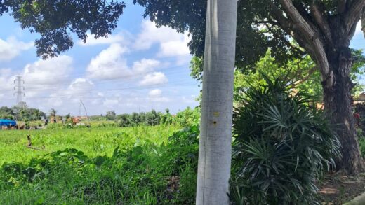 Jual Tanah 2540m2 Sempidi Badung