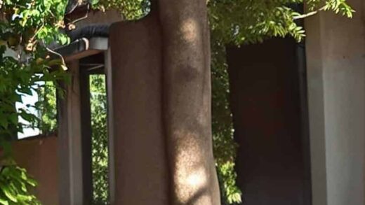 Sewa Min 15 Tahun Maks 30 Tahun Tanah 32 Are Pinggir Jalan Legian Badung