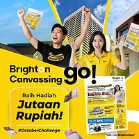 Brighton Canvassing Go 1-31 Oktober 2025